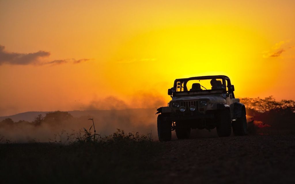 Wycieczka Jeep Safari to prawdziwa frajda Ciekawostki na