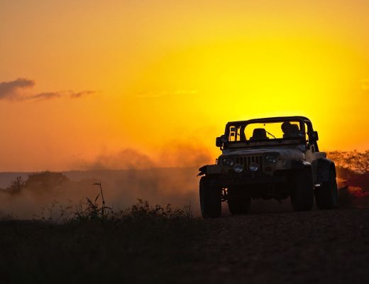 Wycieczka Jeep Safari to prawdziwa frajda