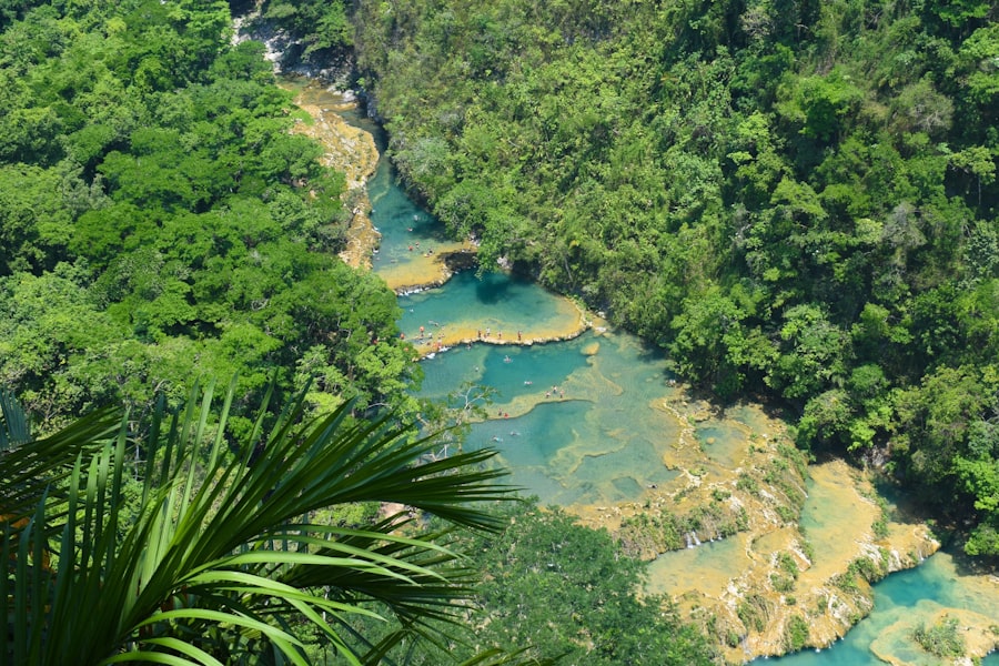 Photo Natural pools