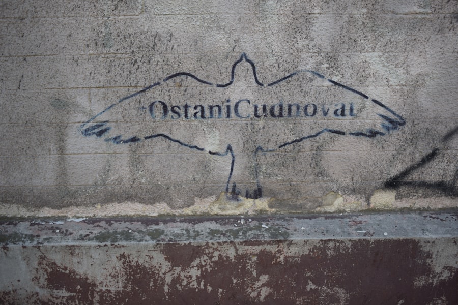 Photo osteopatyczne